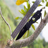 Multi Function Portable Folding Knife